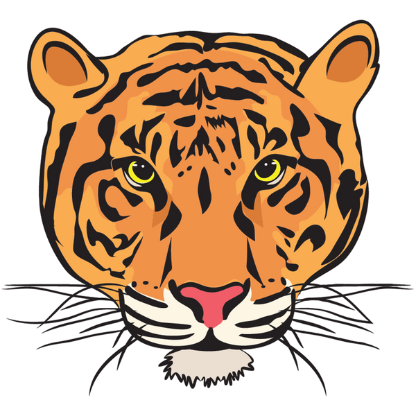 Roof Tiger